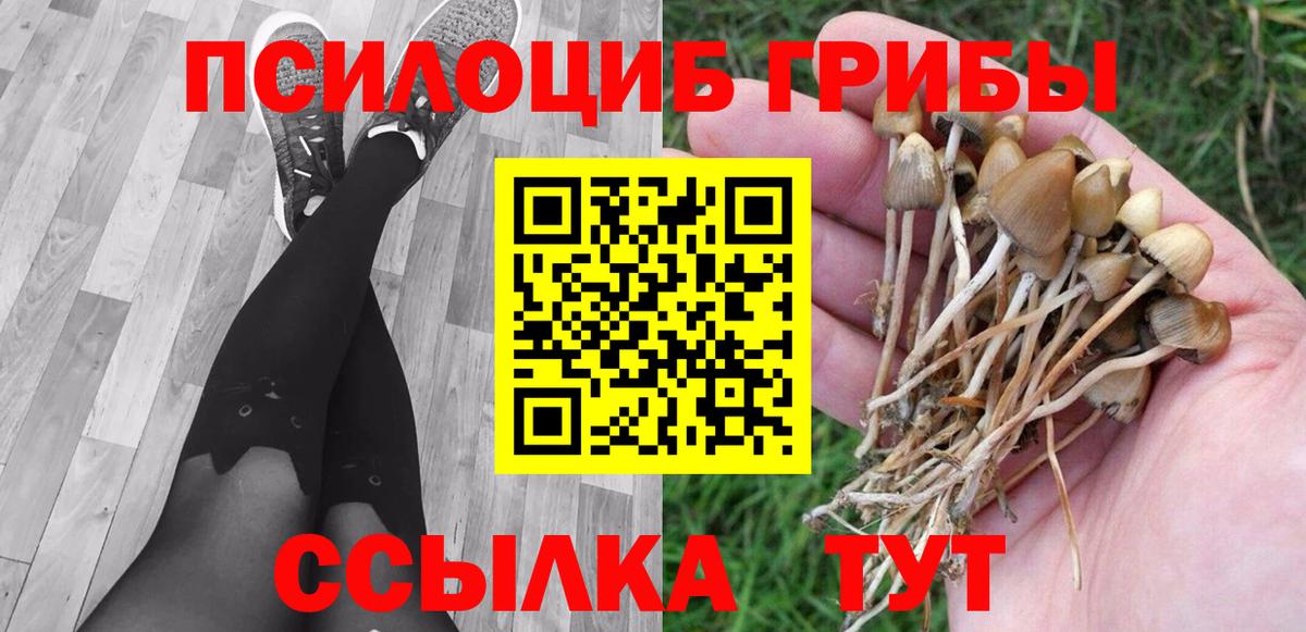 Псилоцибиновые грибы GOLDEN TEACHER  Псилоцибиновые грибы прущие грибы  Петрозаводск  Вход с VPN 