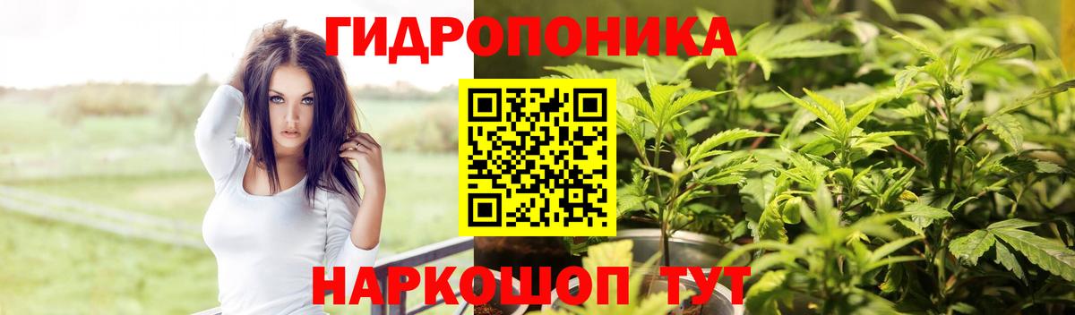 МАРИХУАНА марихуана  Вход с VPN  Бошки марихуана тримм  Петрозаводск  Шишки марихуана семена  Каннабис THC 21% 